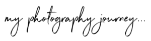 P-Journey